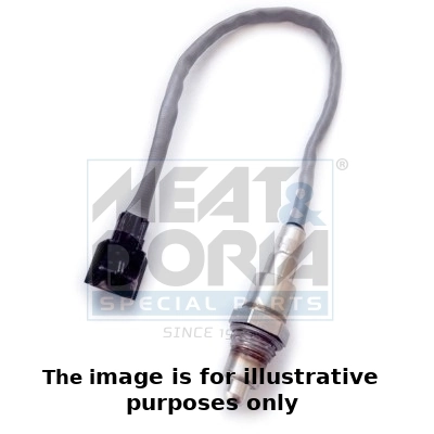 Oxygen Sensor